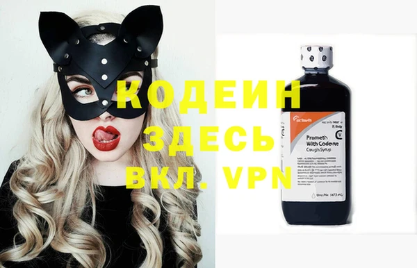 прущие грибы Абаза