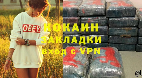 прущие грибы Абаза