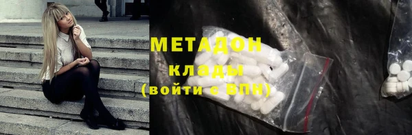 прущие грибы Абаза