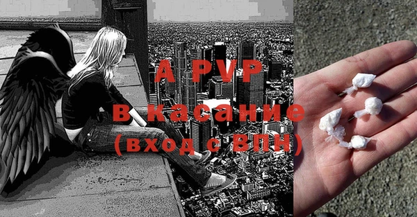 прущие грибы Абаза